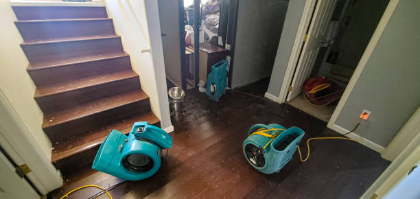Best Carpet water damage restoration  in Como, WI