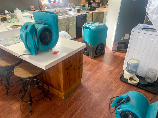Best Carpet water damage restoration  in Como, WI