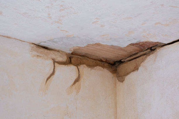 Carpet water damage restoration in Como, WI