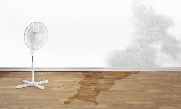 Best Water damage restoration specialists  in Como, WI