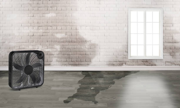 Best Fire Damage Restoration  in Como, WI