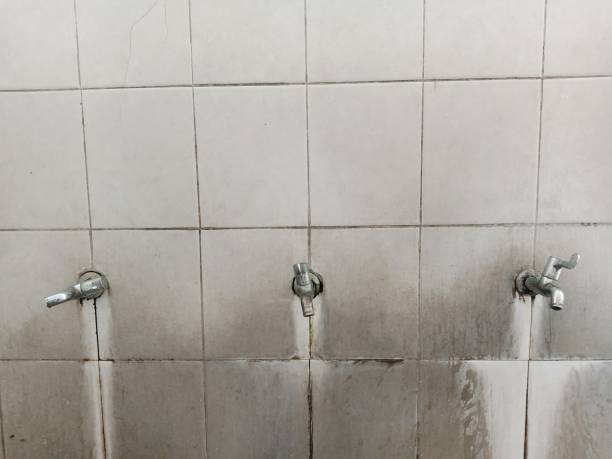 Best 24-hour water damage restoration  in Como, WI