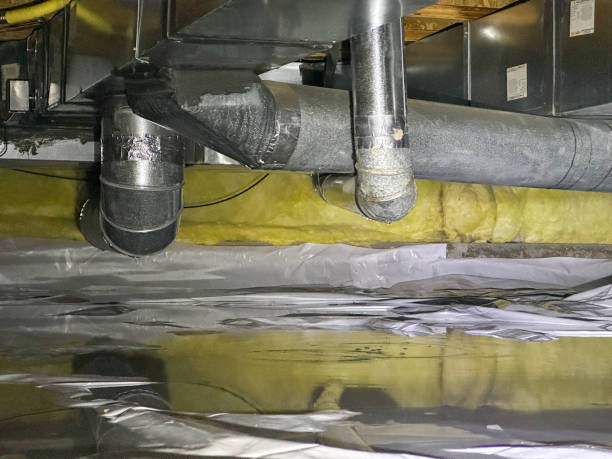 Best Mold removal after water damage  in Como, WI